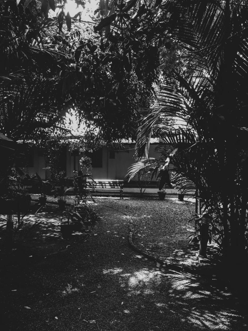 Palm Grove Service Villa Kochi Eksteriør bilde