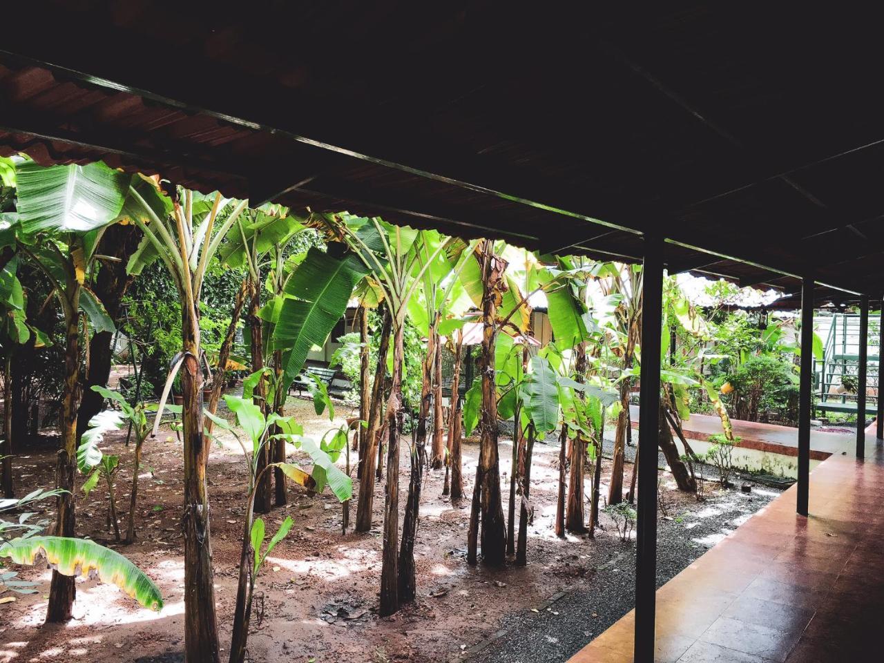 Palm Grove Service Villa Kochi Eksteriør bilde