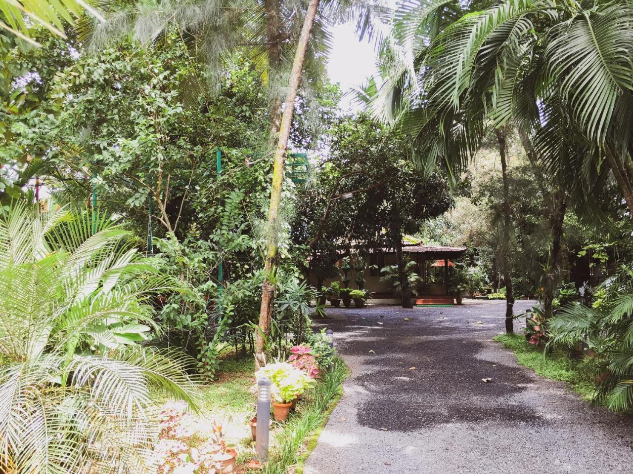 Palm Grove Service Villa Kochi Eksteriør bilde